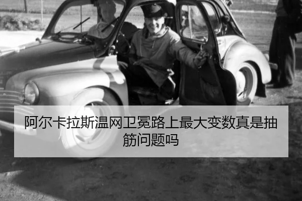 a-er-ka-la-si-wen-wang-wei-mian-lu-shang-zui-da-bian-shu-zhen-shi-chou-jin-wen-ti-ma-3-835.jpg
